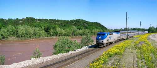 A train travels along a riverbank, surrounded by greenery and wildflowers under a clear blue sky.