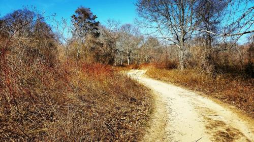 A winding dirt path through a sparse, leafless landscape under a clear blue sky.