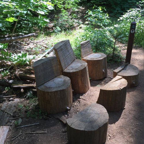 Wooden log benches arranged in a natural setting, surrounded by greenery and trees.