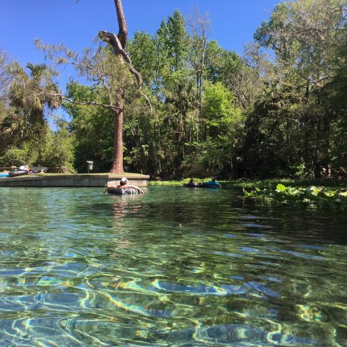 A serene water scene with clear blue water, lush greenery, and people relaxing on floats under a bright blue sky.