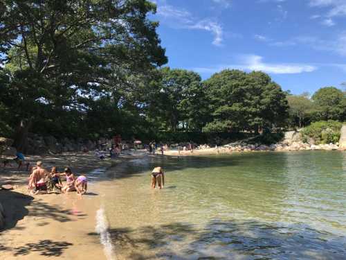 A sunny beach scene with people playing in the water and relaxing on the shore, surrounded by trees and rocks.