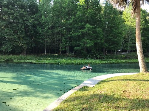 A person relaxes on a float in a clear, greenish river surrounded by lush trees and grass.