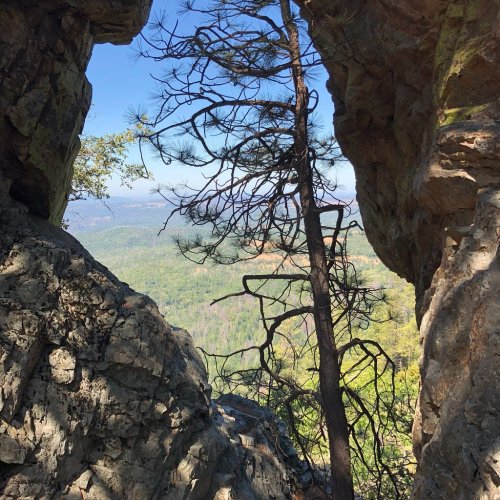 A rocky outcrop frames a view of lush green hills and distant trees under a clear blue sky.