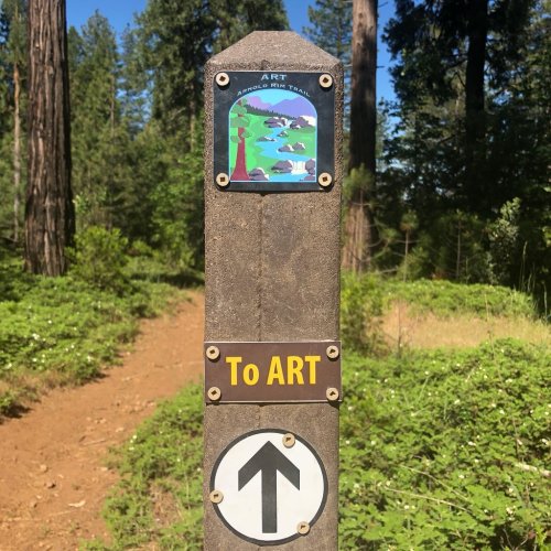 Trail sign directing to "ART" with an illustration and an arrow pointing forward on a forest path.