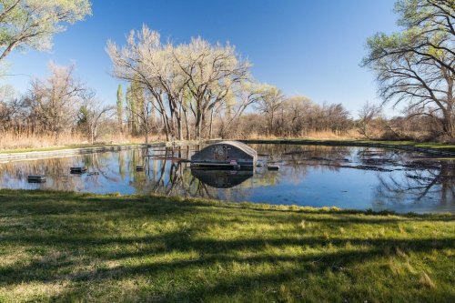 A serene pond surrounded by trees, with a small boat on the water and clear blue skies above.