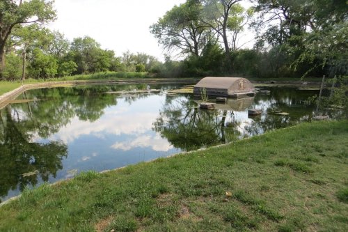 A serene pond surrounded by trees, reflecting the sky, with a small covered structure on the water's surface.