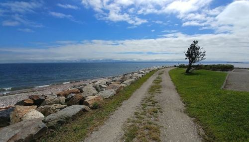 A scenic coastal path lined with rocks, leading to the water under a blue sky with scattered clouds.
