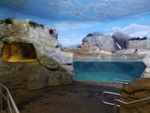 A rocky habitat with a clear pool of water, featuring a painted sky backdrop and a penguin enclosure.