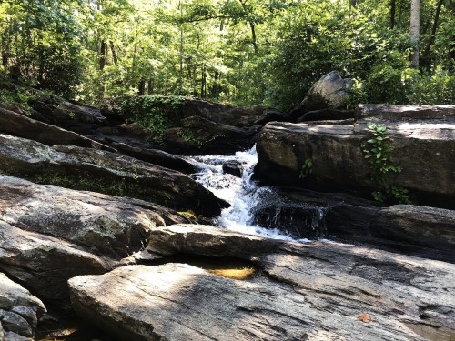 A serene stream flows over large rocks, surrounded by lush green trees in a peaceful forest setting.