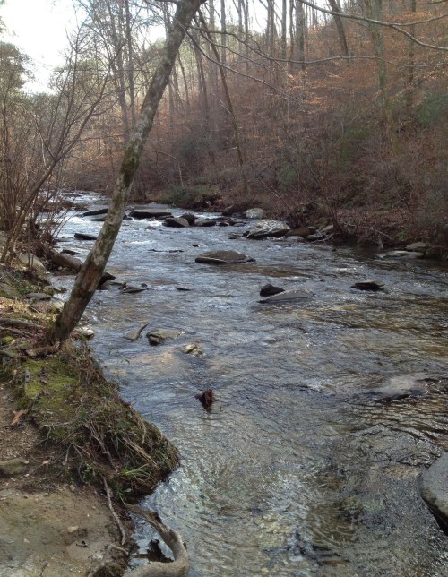 A serene river flows through a wooded area, with rocks and trees lining the banks in a peaceful natural setting.