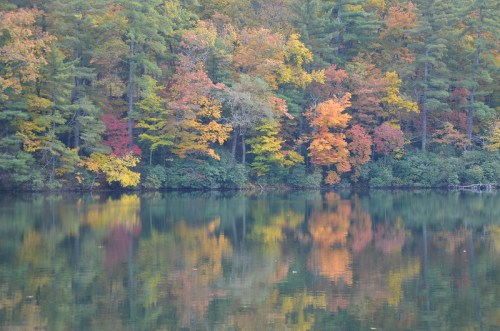 Vibrant autumn foliage reflects on a calm lake, surrounded by lush green trees.
