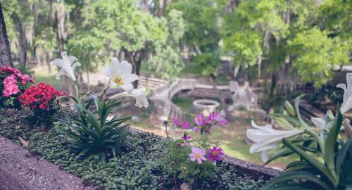 A garden scene featuring colorful flowers in the foreground, with a serene landscape and stone bridge in the background.