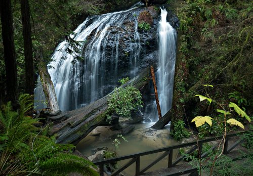 A serene waterfall cascades over rocks, surrounded by lush greenery and fallen logs in a tranquil forest setting.