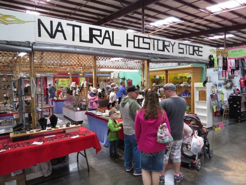 A bustling natural history store with various displays and customers browsing, including children and a stroller.