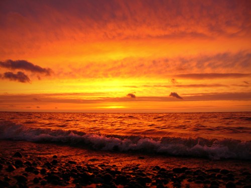 A vibrant sunset over the ocean, with orange and purple hues reflecting on the water and waves gently lapping at the shore.