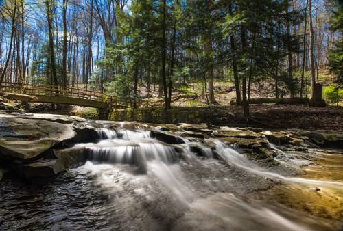 A serene stream flows over rocks, with a wooden bridge and lush trees in the background under a clear blue sky.