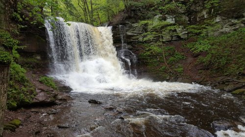 A serene waterfall cascades over rocks into a flowing stream, surrounded by lush green trees and foliage.