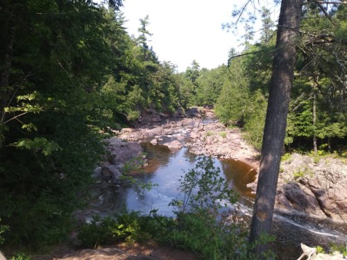 A serene river flows through a rocky landscape, surrounded by lush green trees under a clear blue sky.
