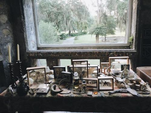 A table adorned with framed photos, natural artifacts, and candles, set against a window overlooking a green landscape.