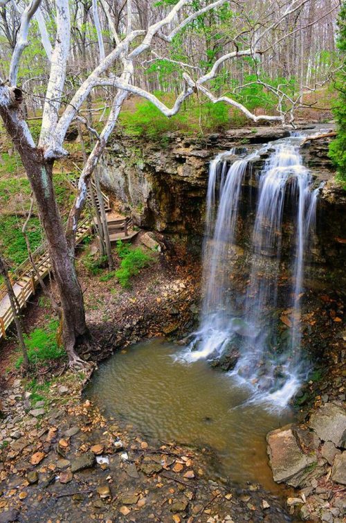 A serene waterfall cascades into a rocky pool, surrounded by lush greenery and bare trees in a tranquil forest setting.