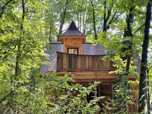 A wooden cabin with a pointed roof nestled among lush green trees in a forest.