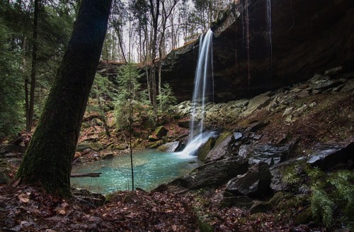 A serene waterfall cascades into a turquoise pool, surrounded by lush greenery and rocky terrain in a forested area.