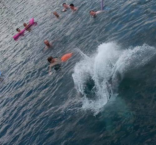 A splash in the water with people swimming and relaxing nearby on a sunny day.