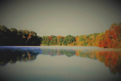 Serene lake scene with autumn foliage reflecting on calm water, shrouded in morning mist.