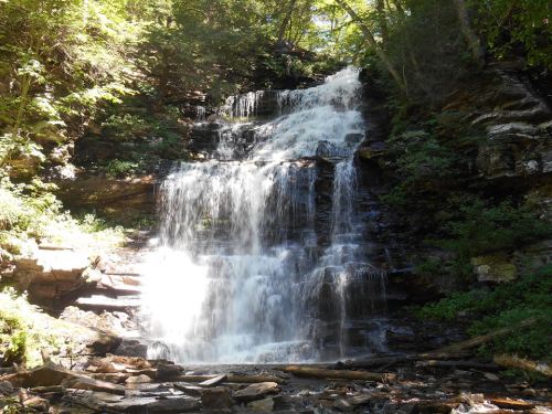 A serene waterfall cascading over rocky ledges, surrounded by lush green trees and foliage.