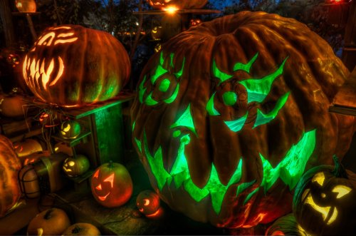 A collection of creatively carved pumpkins glowing in various colors, showcasing Halloween-themed designs.