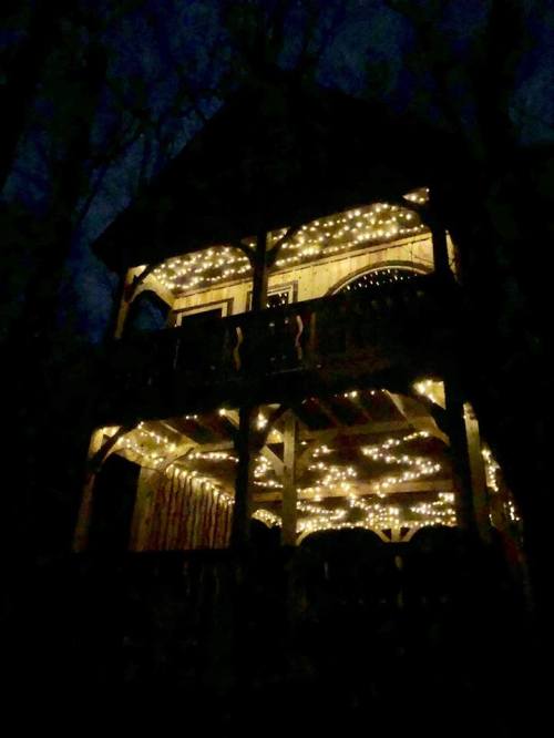 A cozy wooden cabin illuminated by warm string lights, surrounded by dark trees at night.