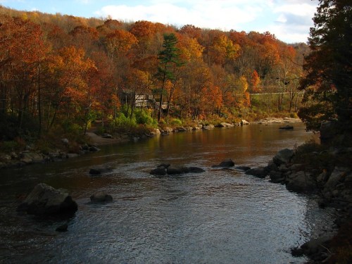A serene river flows through a forest with vibrant autumn foliage, reflecting the colorful trees along the banks.