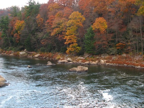 A serene river flows past a forest of vibrant autumn trees in shades of orange, yellow, and green.