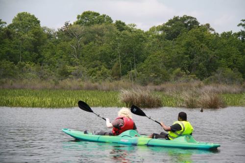 Two people kayaking on a calm waterway, surrounded by lush greenery and tall grasses.