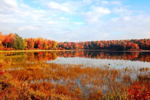 A serene lake surrounded by vibrant autumn foliage, reflecting colorful trees and a clear blue sky.