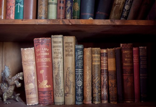 A wooden shelf filled with vintage books, showcasing ornate spines and titles related to exploration and adventure.