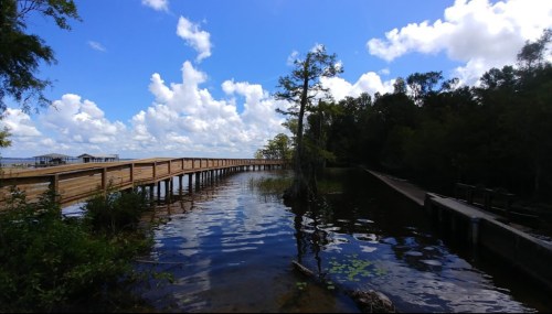 A wooden boardwalk extends over calm water, surrounded by trees and a bright blue sky with fluffy clouds.