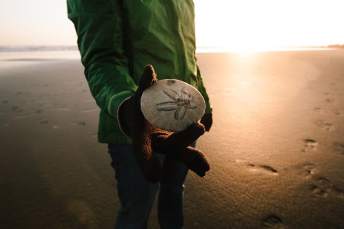 A person in a green jacket holds a round, patterned stone on a beach at sunset, with footprints in the sand.