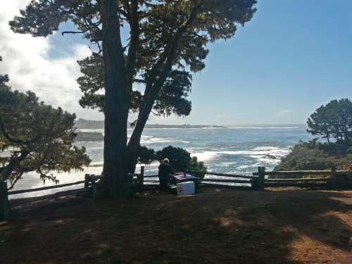 A person sits at a table by the ocean, surrounded by trees and a scenic coastal view under a clear blue sky.