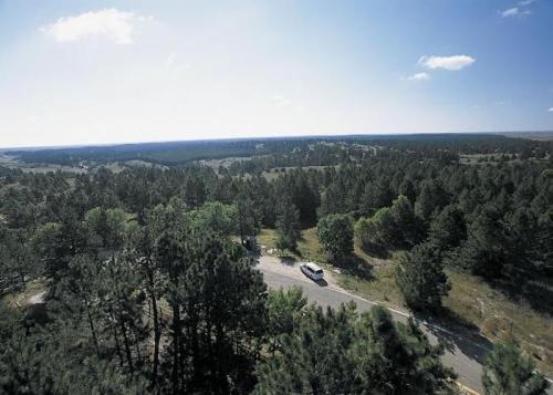 Aerial view of a winding road through a dense forest with rolling hills and a clear blue sky.