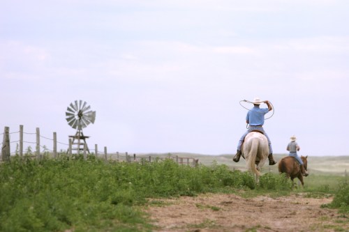 Two cowboys on horseback, one preparing to lasso, with a windmill in the background on a rural landscape.