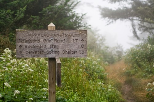 Wooden signpost on a misty trail, indicating distances to Newfound Gap Road, Boulevard Trail, and Clearwater Spring Shelter.