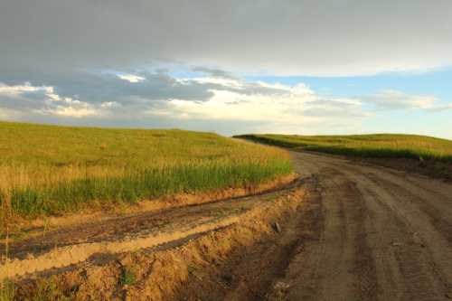 A winding dirt road through green fields under a partly cloudy sky.