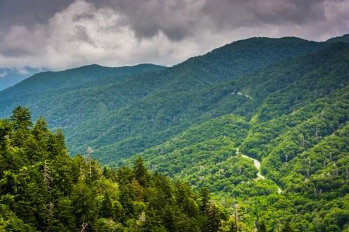 Lush green mountains under a cloudy sky, with a winding road visible through the dense forest.