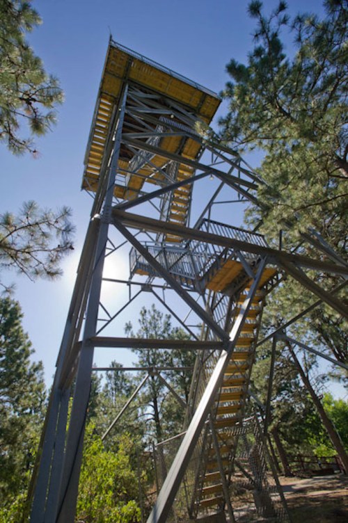 A tall metal observation tower surrounded by trees, with a clear blue sky in the background.