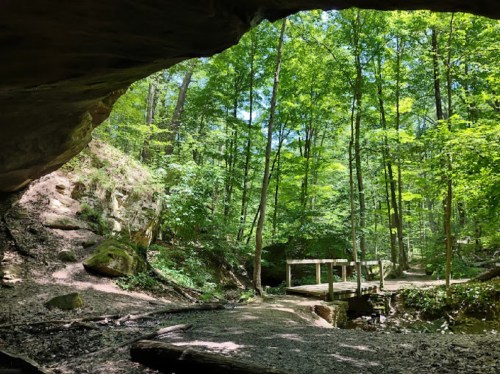 A serene forest scene with lush green trees, a wooden bridge, and rocky terrain under a natural archway.