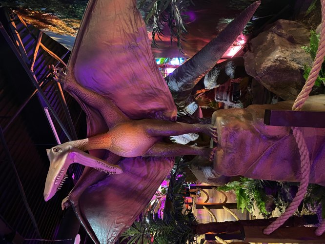 A large, colorful dinosaur statue with wings, surrounded by tropical plants in a dimly lit environment.