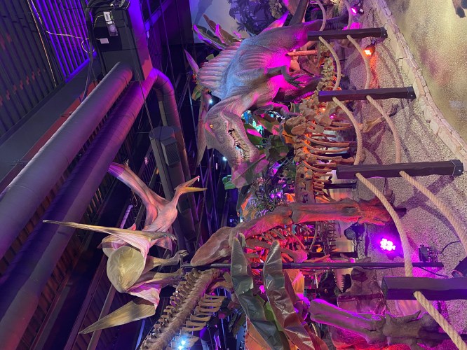 A vibrant indoor dinosaur exhibit featuring life-sized dinosaur models among tropical plants and colorful lighting.