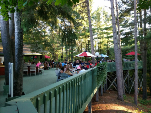 A lively outdoor dining area surrounded by tall trees, with people enjoying meals under umbrellas on a sunny day.