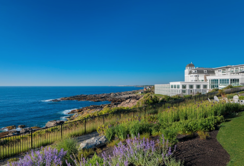 Coastal view featuring a hotel by the ocean, with rocky shores and vibrant greenery in the foreground. Clear blue sky.